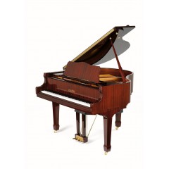 PianoDisc PD42IVP + PDS250